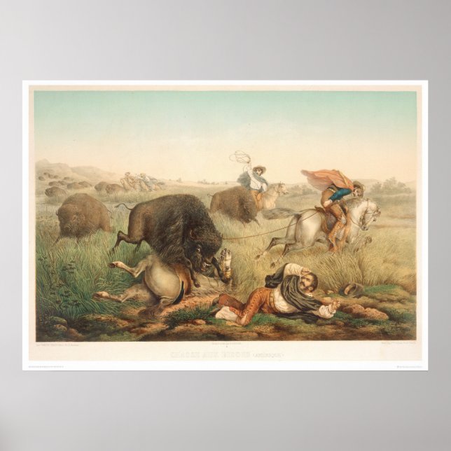 Poster Chasse au bison (0008A) (Devant)