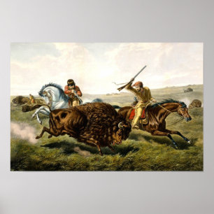 Poster Chasse au bison aux États-Unis