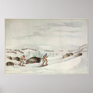 Poster Chasse au buffle en raquettes
