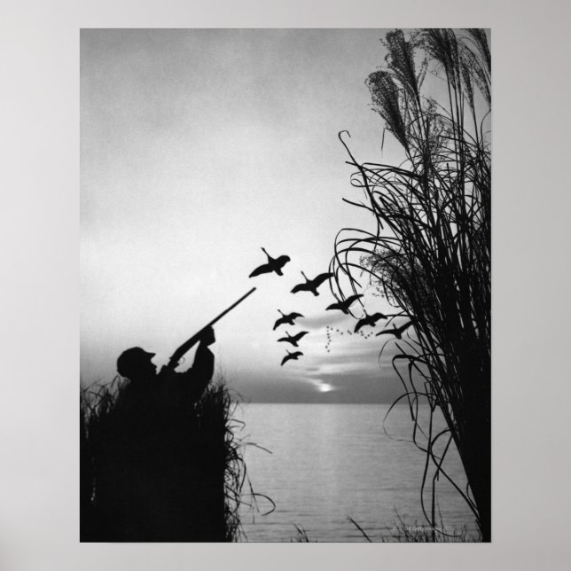 Poster Chasse au canard (Devant)