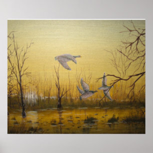 Poster Chasse au canard