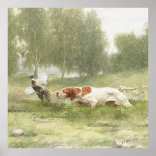 Poster Chasse au faisan avec pointeur