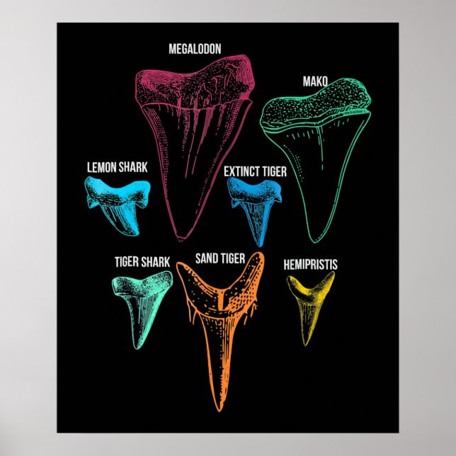 Poster Chasse aux dents de requin - Cadeaux de requin fou (Devant)