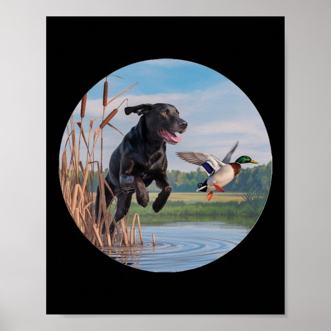 Poster Chasse Black Labrador Lab Chasse aux canards. Oise (Devant)