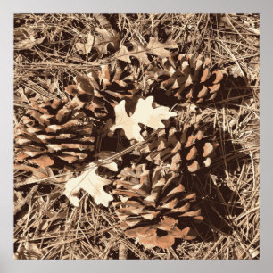 Poster Chasse Camo Camouflage Cadeaux pour chasseurs