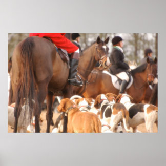 Poster Chasse Fox