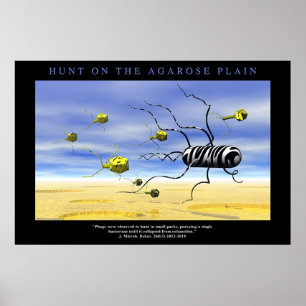 Poster Chasse sur la plaine d'Agarose