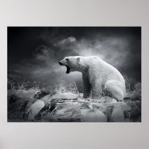Poster Chasseur blanc d'ours blanc sur la glace dans