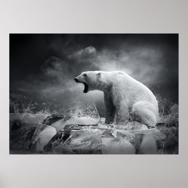 Poster Chasseur d'ours blanc sur la glace dans l'eau (Devant)