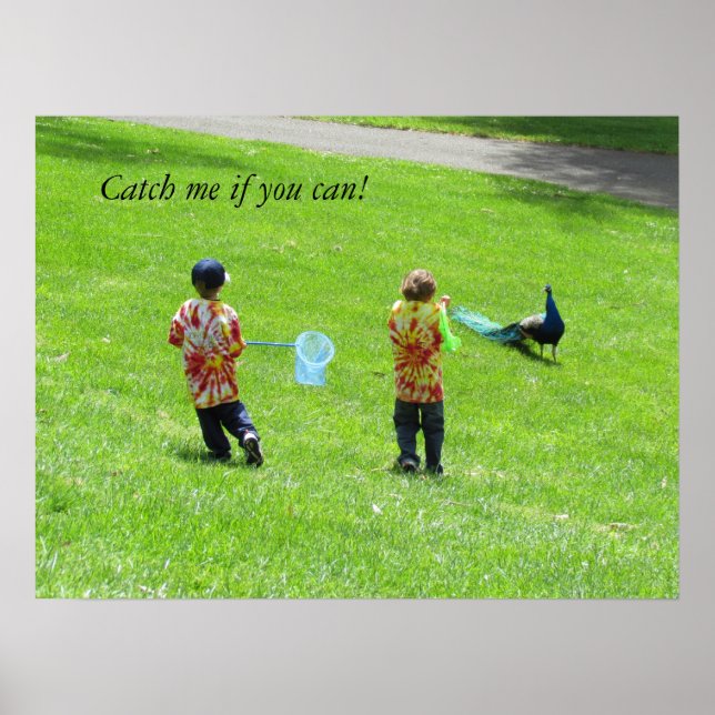 Poster - Chasseurs de paon (Devant)