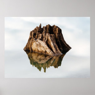 Poster CHÂSSIS Brown EN BOIS