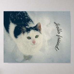 Poster Chat