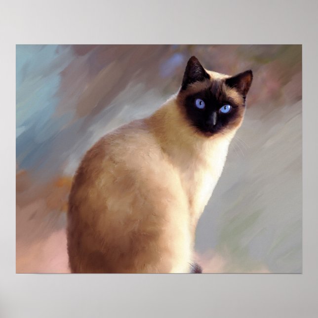 Poster Chat 613 siamese (Devant)