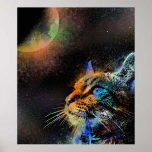 Poster Chat 624