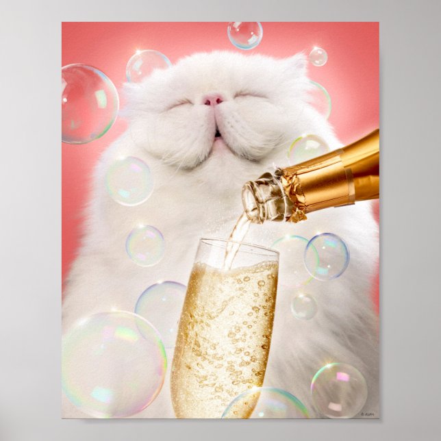 Poster Chat Au Champagne (Devant)