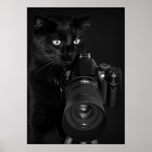 Poster Chat avec caméra