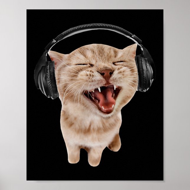 Poster Chat avec casque mème (Devant)