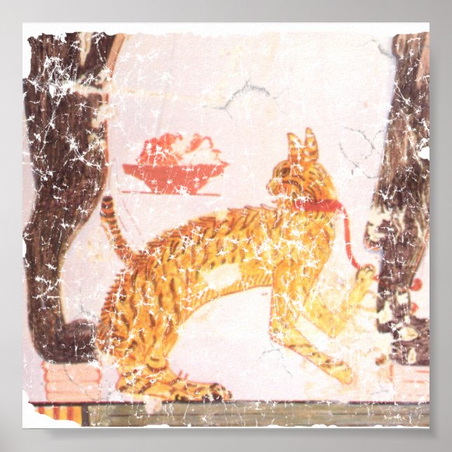 Poster chat avec col (Devant)