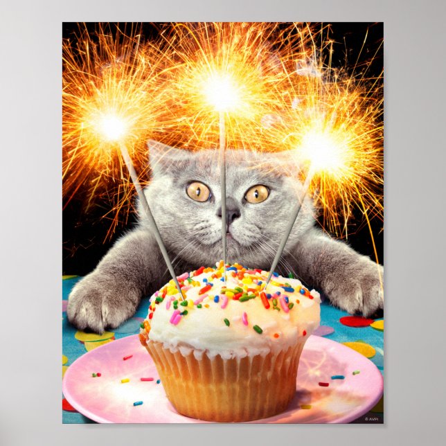 Poster Chat Avec Cupcake Sparkler (Devant)