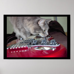 Poster Chat avec guitare électrique rouge