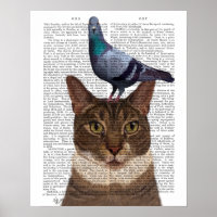 Chat avec pigeon sur tête