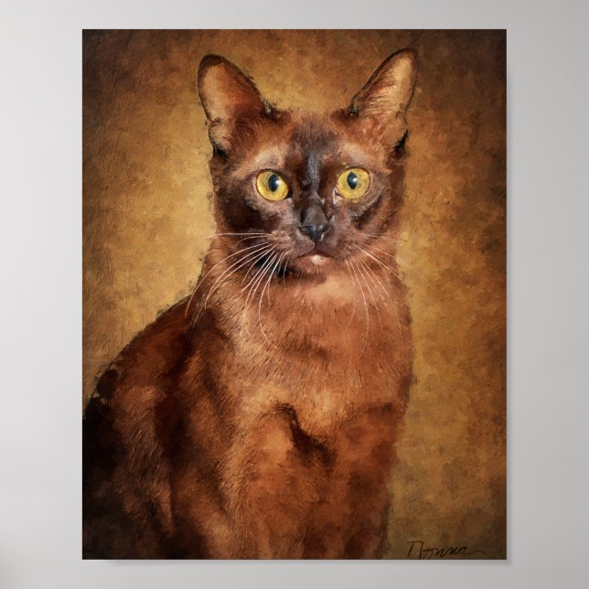 Poster Chat birman brun (Devant)