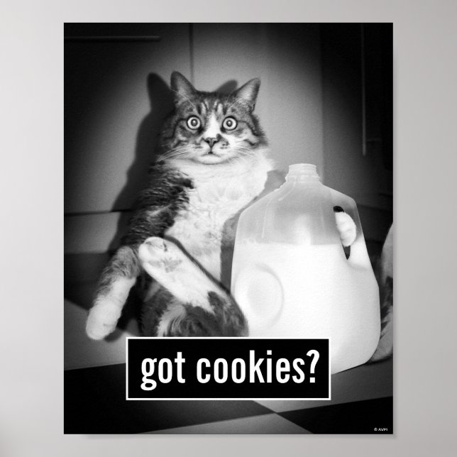 Poster Chat Boire Du Lait De Jug (Devant)