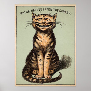 Poster Chat canari vintage