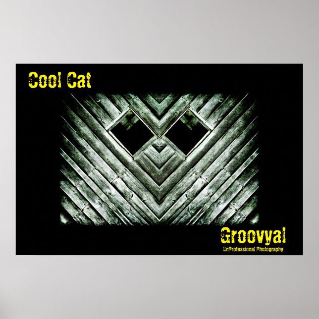 Poster Chat cool (Devant)
