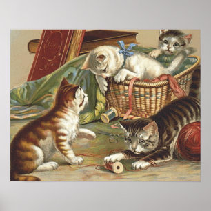 Poster Chat curieux de PIÈCE EN T