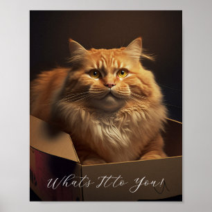 Poster Chat Dans La Boîte À Chaussures - Chat Sarcastique