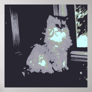 Poster Chat de chaton gris aux cheveux longs
