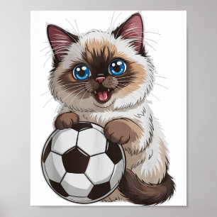 Poster Chat de foot mignon juste une fille qui aime Birma