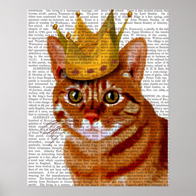 Poster Chat de gingembre avec Portrait de Couronne (Devant)