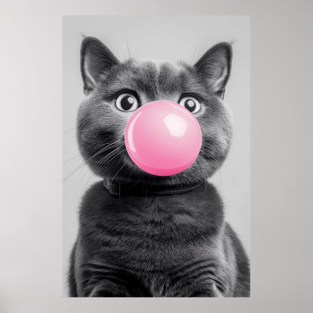 Poster Chat de gomme à bulle (Devant)