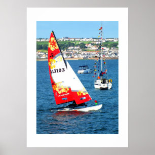 Poster Chat de Hobie, Jersey
