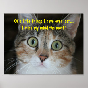 Poster Chat de l'esprit absent
