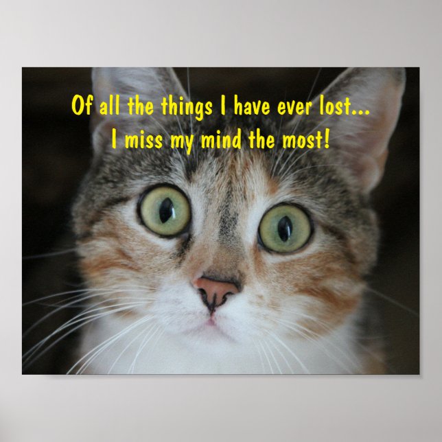 Poster Chat de l'esprit absent (Devant)
