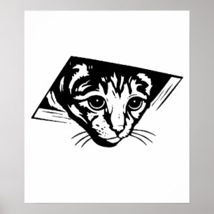 Poster Chat de plafond