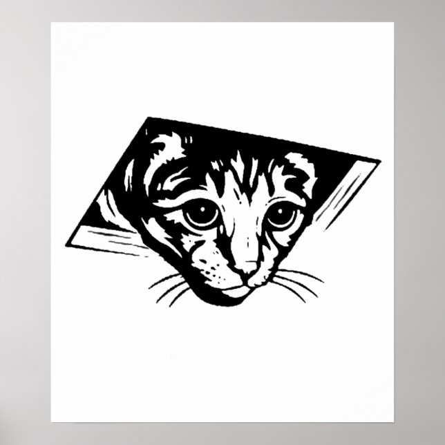 Poster Chat de plafond (Devant)