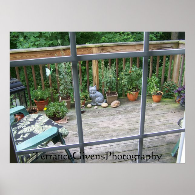 Poster Chat de pont dans la fenêtre (Devant)