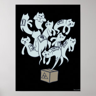 Poster Chat de Schrödinger 9 Vies