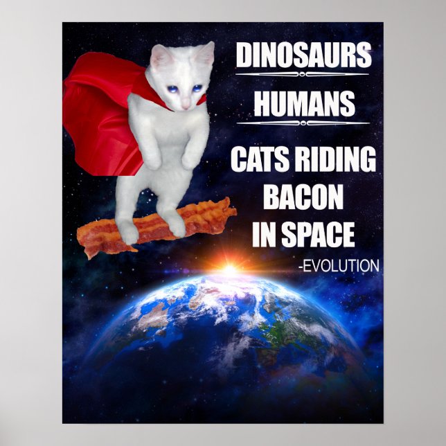 Poster Chat drôle : évolution (Devant)