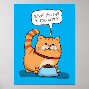 Poster Chat Drôle Malheureux Avec Chow