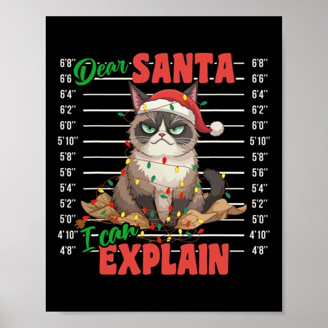 Poster Chat Drôle Mugshot Cher Père Noël Je Peux Explique (Devant)