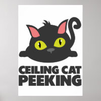 Chat du plafond qui regarde drôle Art de mème Inte