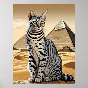 Poster Chat égyptien Mau - Art Print