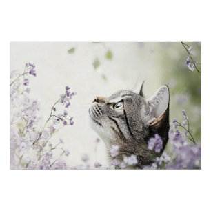 Poster Chat en fleurs