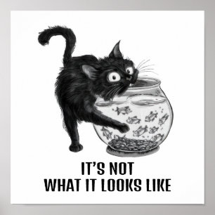 Poster Chat et poisson