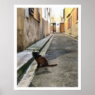 Poster Chat français